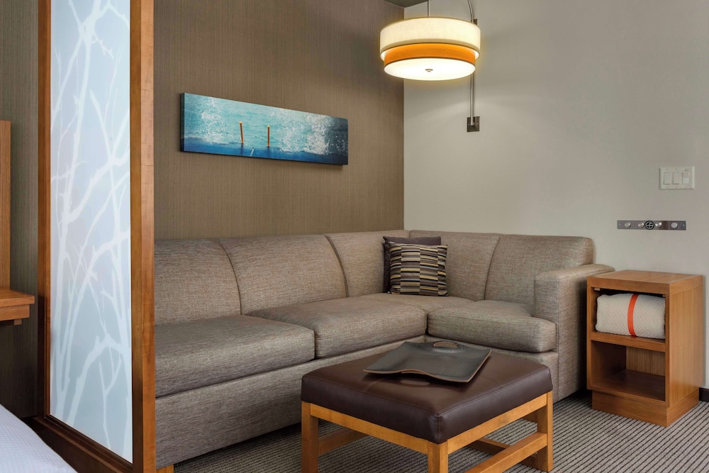 Hyatt Place Chicago Downtown - The Loop 38/63