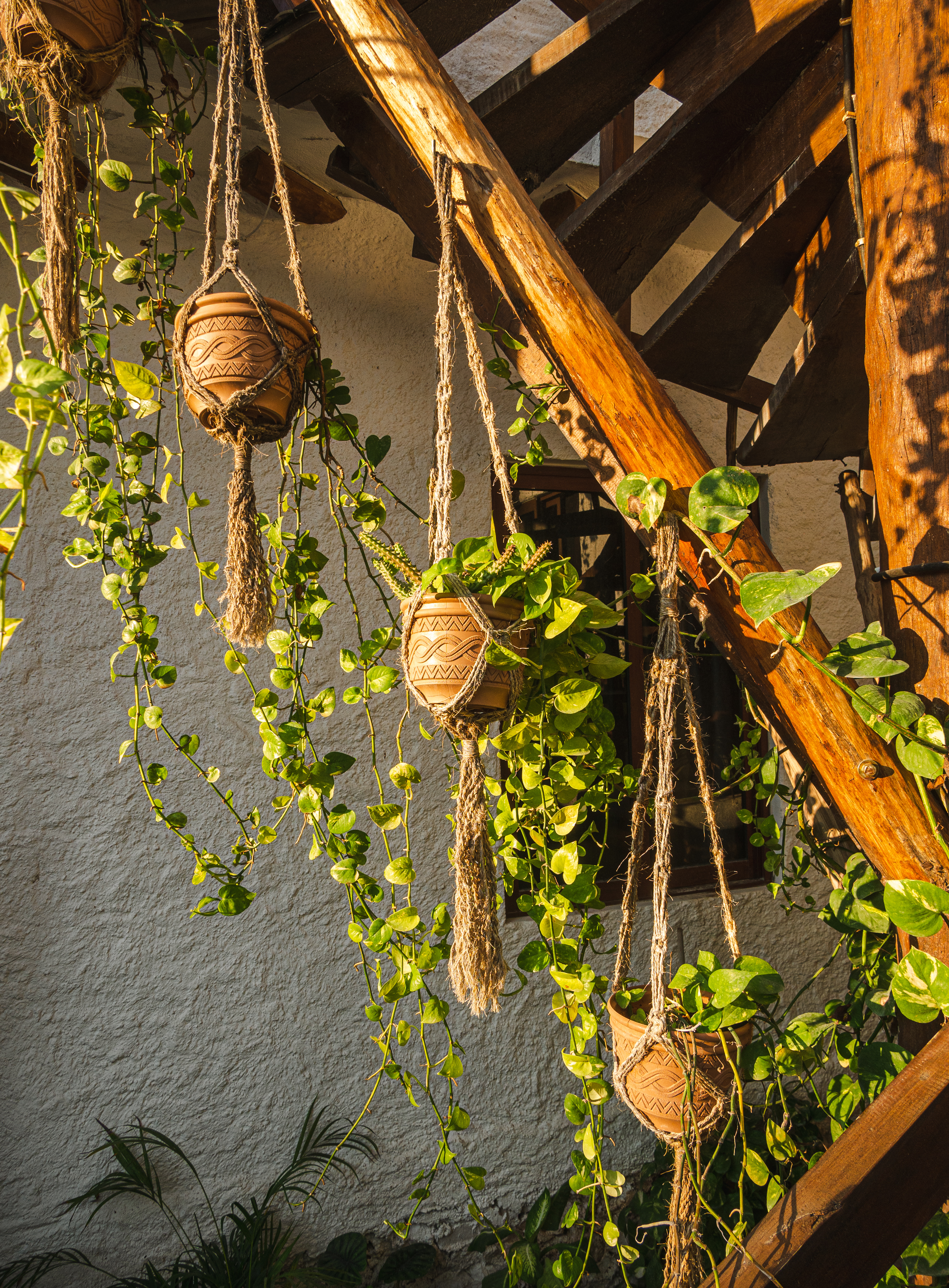 Arte Sano Hotel & Spa - Only Adults 32/50
