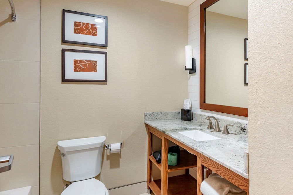 Comfort Suites Lubbock TX 15/43