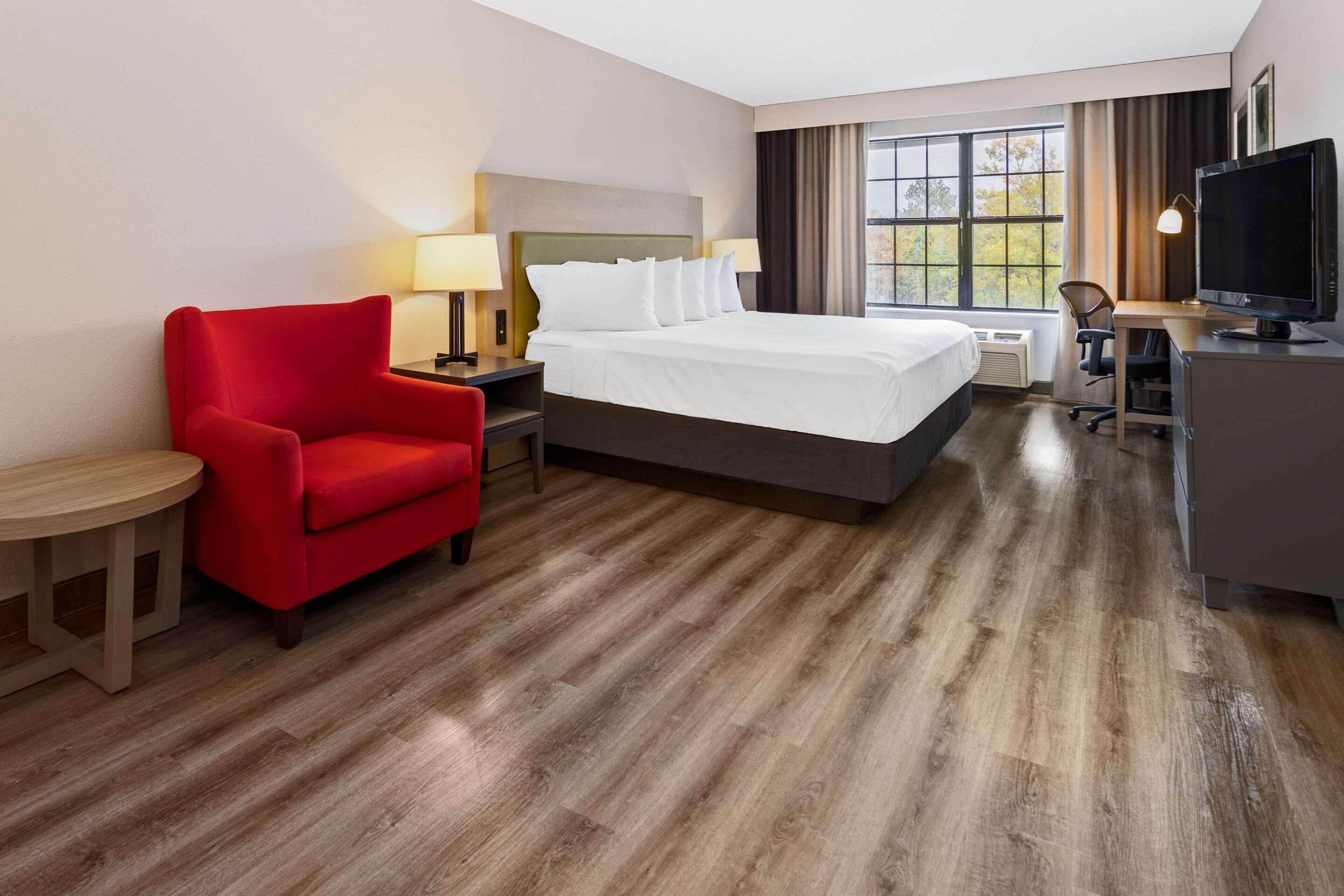 Suite, King Bed