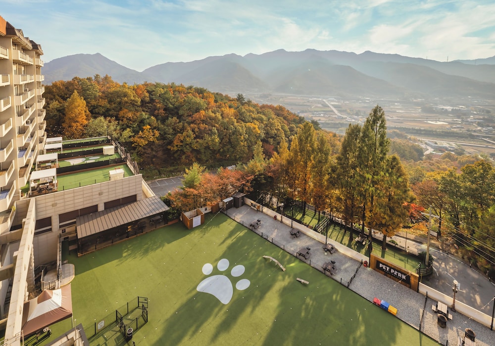 Kensington Resort Chungju 46/50