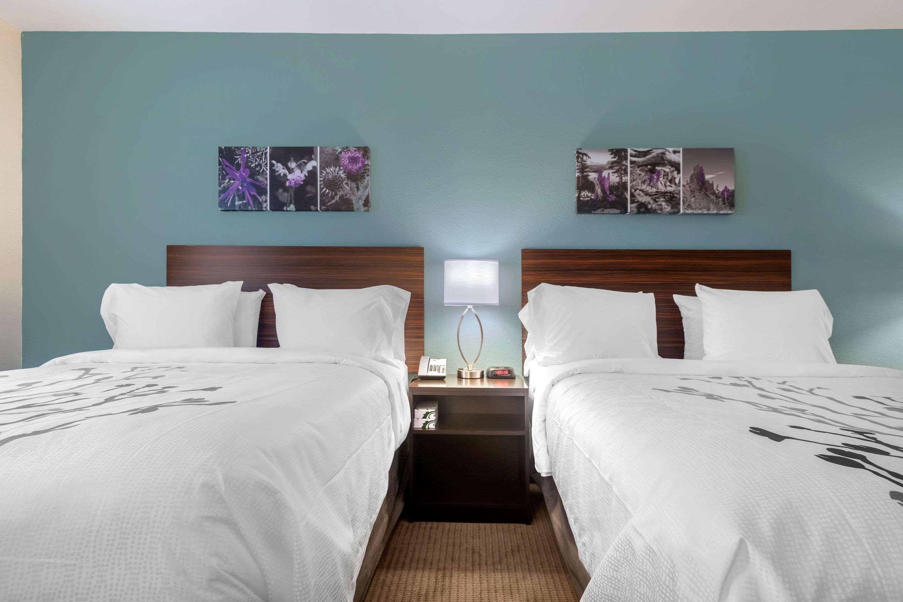 ROOM, KING BED