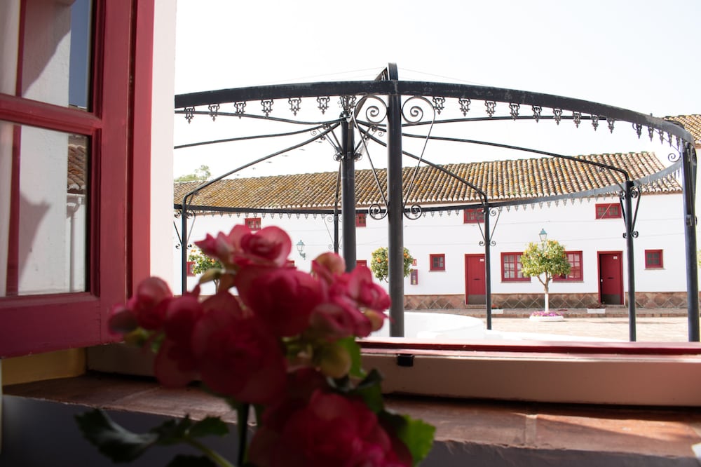 Cortijo del Arte 26/54