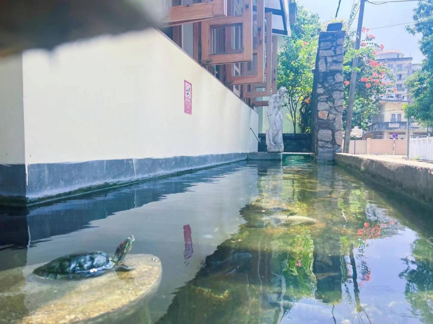 Lafala Hotel and Service Apartment, Dehiwala-Mount Lavinia 84/100