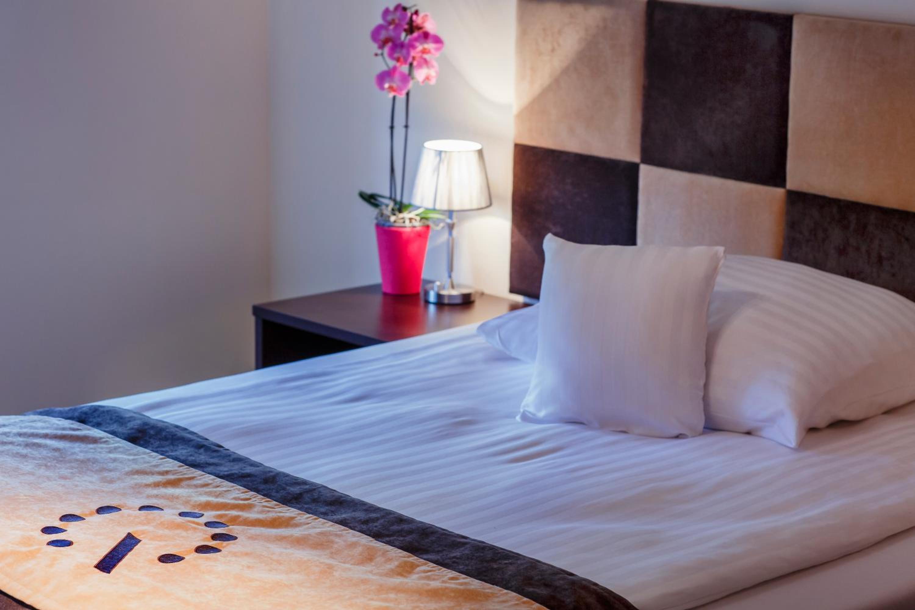 شقة بغرفة نوم واحدة، Boutique Hotel’s Bytom 5/10