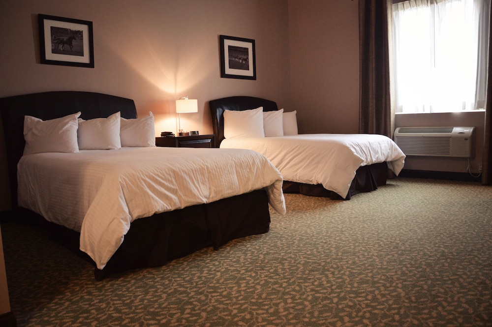 Belvedere Inn 8/42