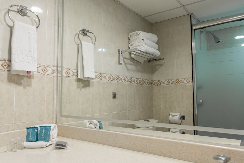 Hotel Real Plaza Aguascalientes 14/71