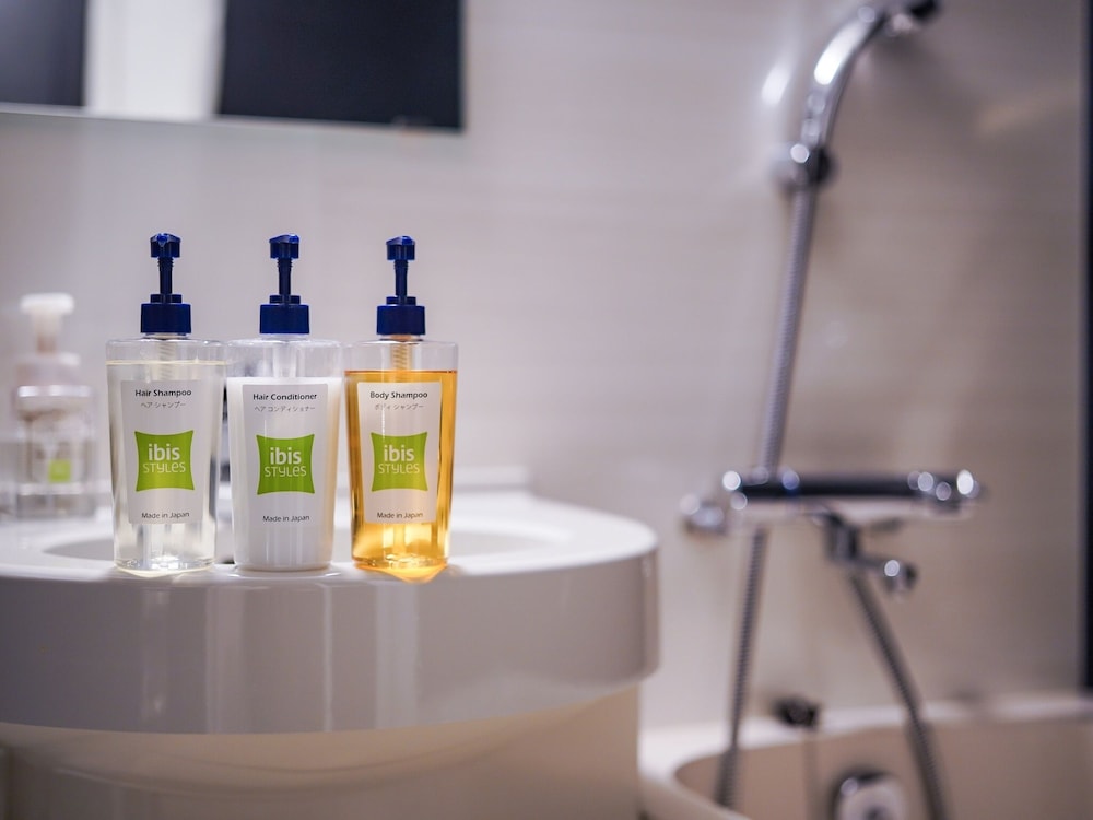 Ibis Styles Tokyo Ginza 27/48