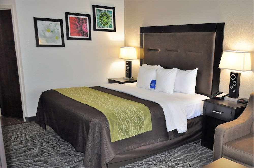 Comfort Inn Downtown Charleston 15/35