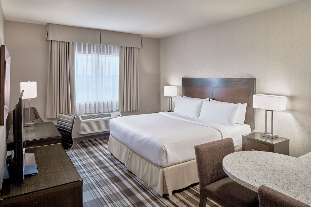 Suite, King Bed