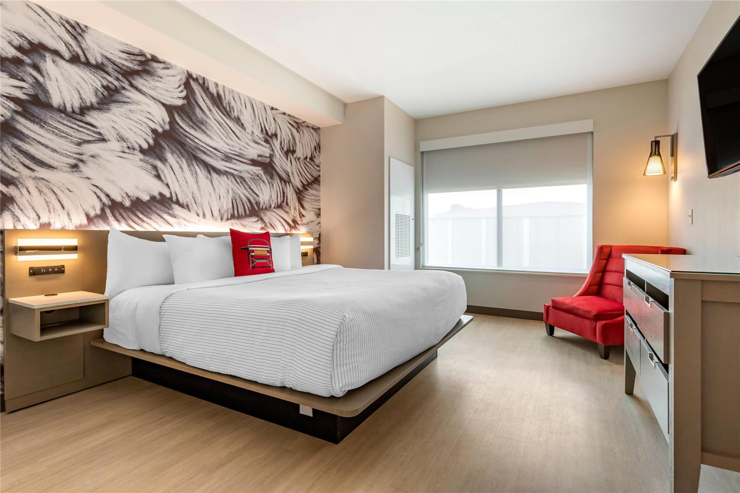 Suite, King Bed