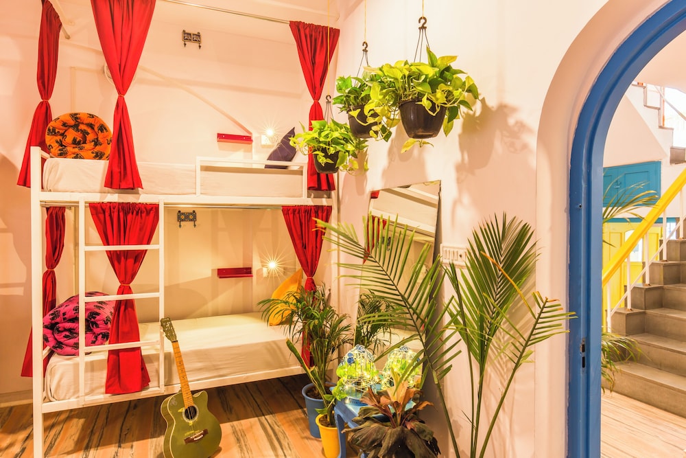 goSTOPS Jaipur - Hostel 5/50