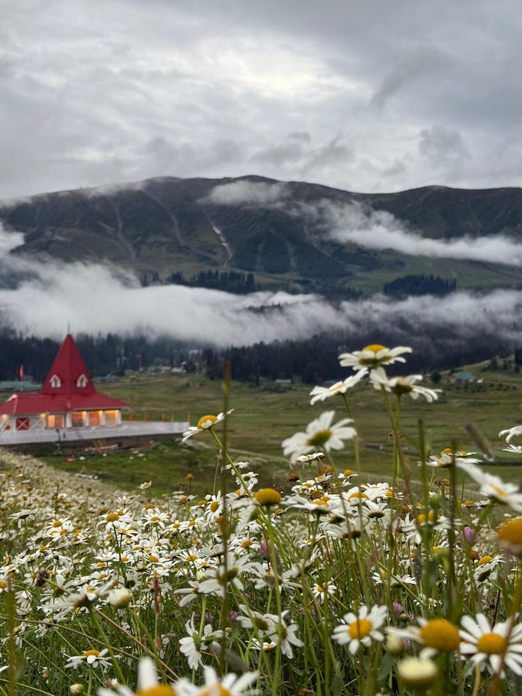THE VINTAGE GULMARG 42/48
