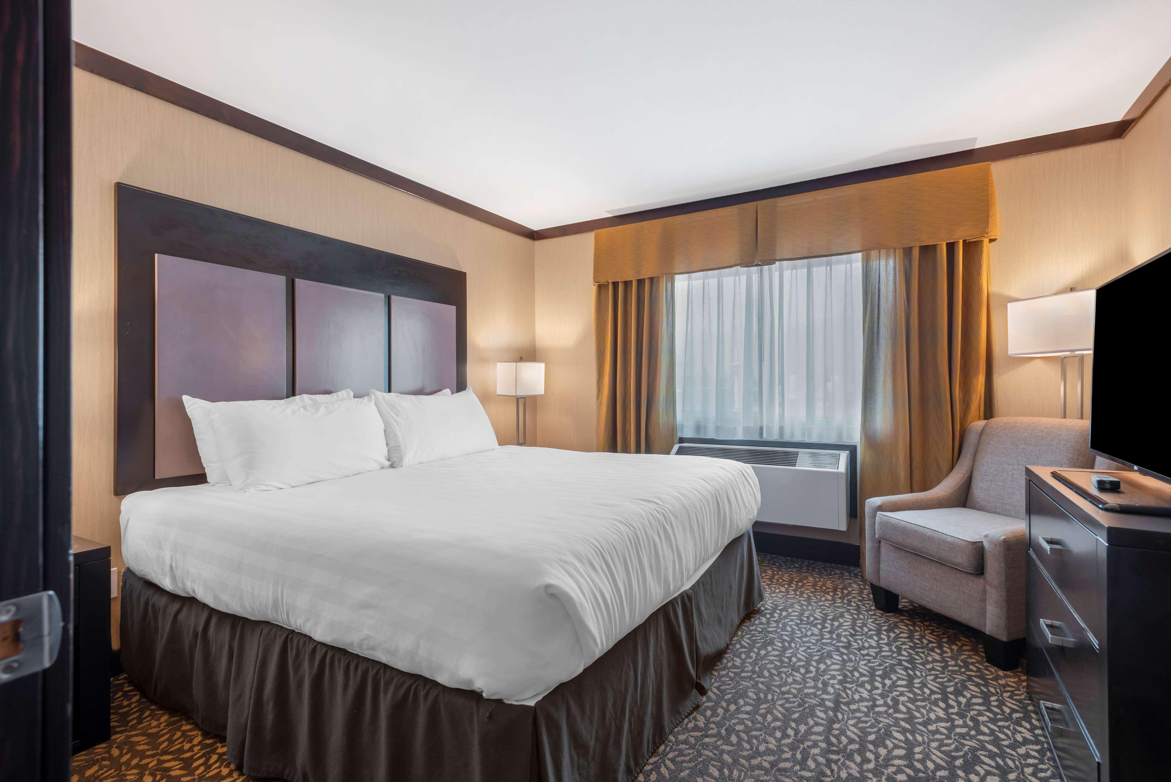 Business, Suite, King Bed, Sofa, Living Area