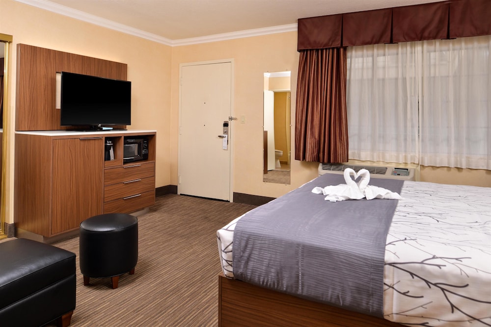 Best Western Hollywood Plaza Inn - Hollywood Walk of Fame Hotel-LA 7/37