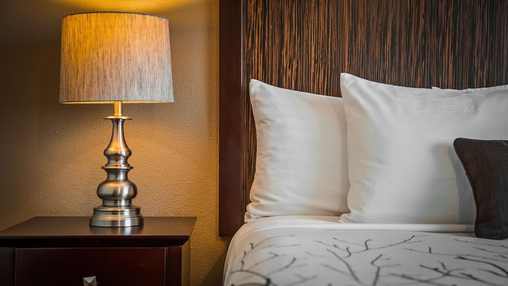 Best Western Plus Orchid Hotel & Suites 29/59