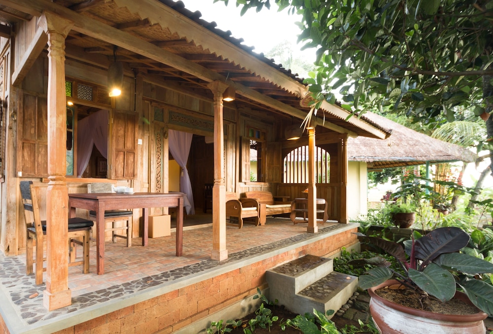 Uma Sari Rice Terrace 46/50