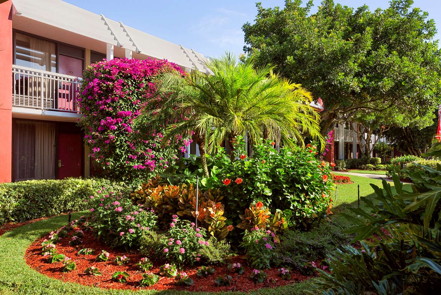 Collins Hotel Naples 14/21