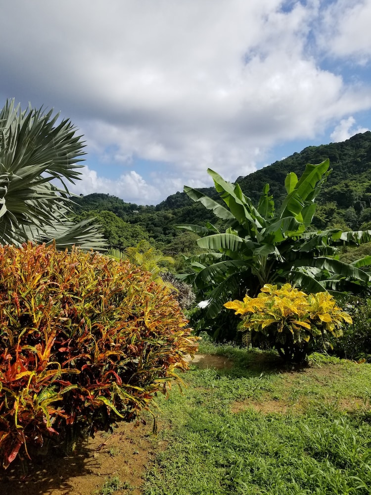 Top Ranking Hill View Guesthouse 14/23