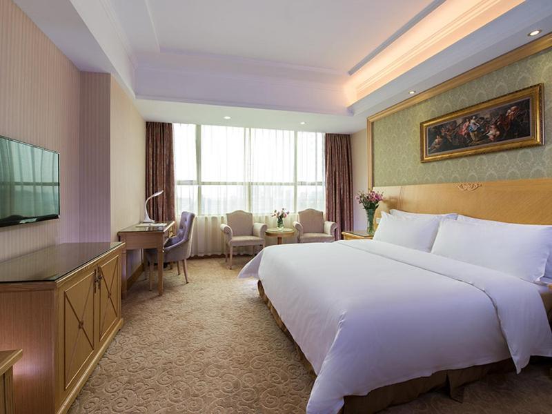Vienna Hotel (Dongguan Tangxia Lincun Square) 19/39