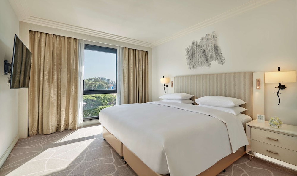 Hyatt Regency Addis Ababa 20/72