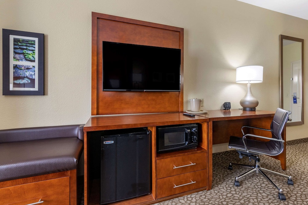 Comfort Suites Florence I-95 31/36