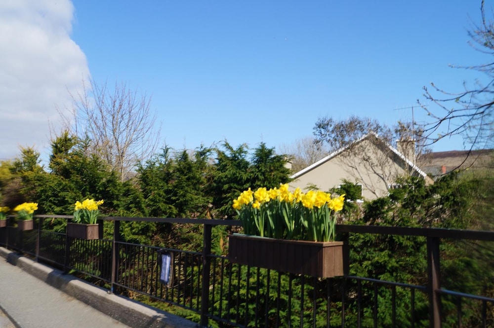 Ardrinane House B&B 45/48