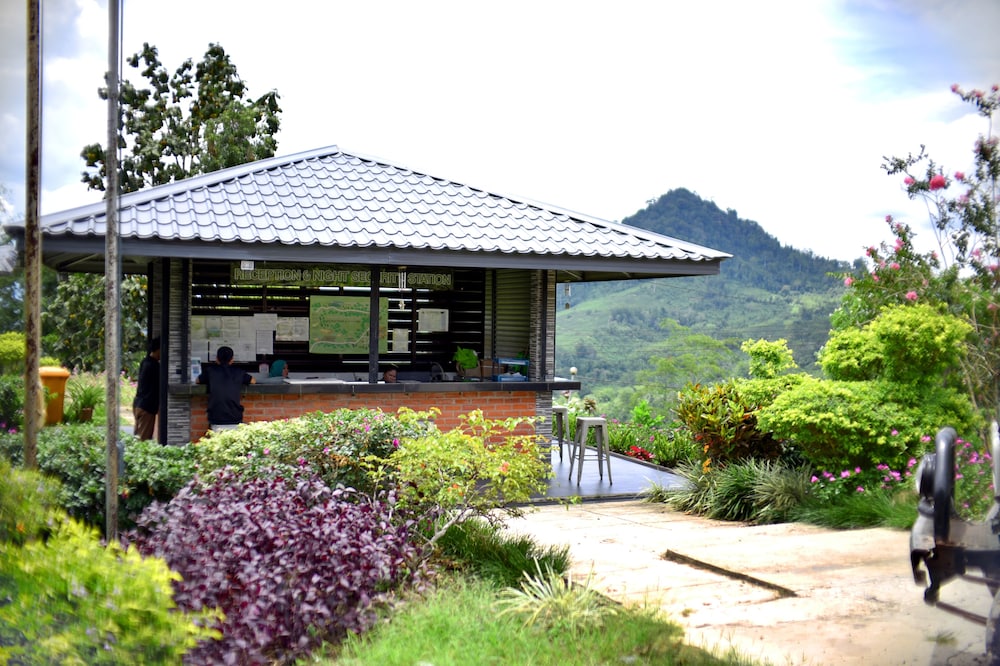 Sabah Tea Garden 10/70