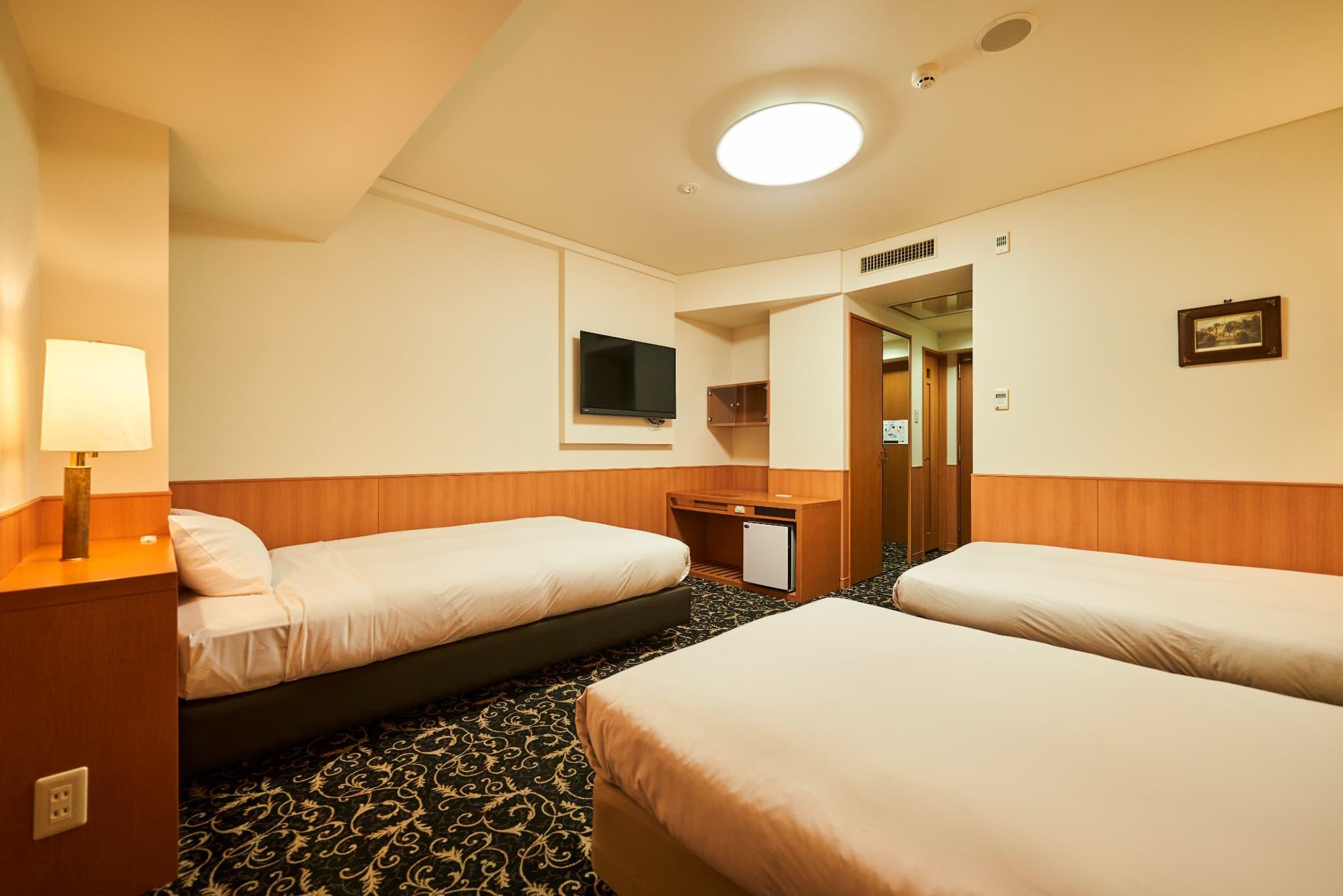 Standard, Triple, 3 Beds, New Wing
