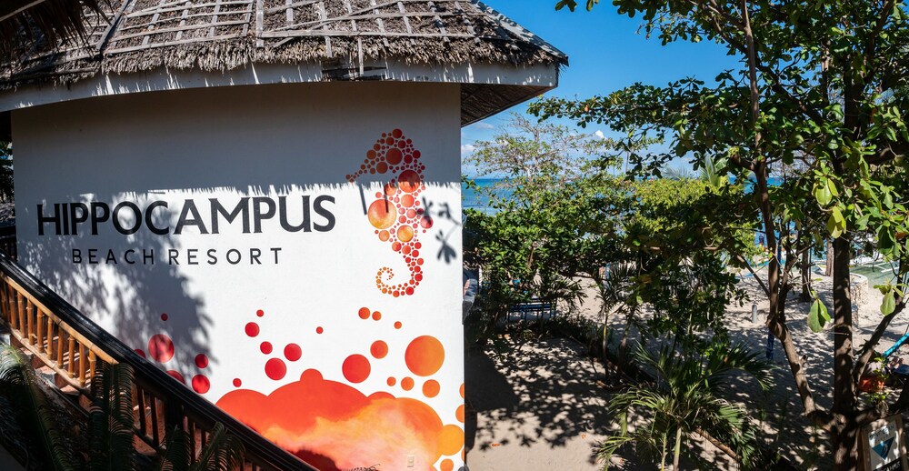 Hippocampus Beach And Dive Resort 4/59