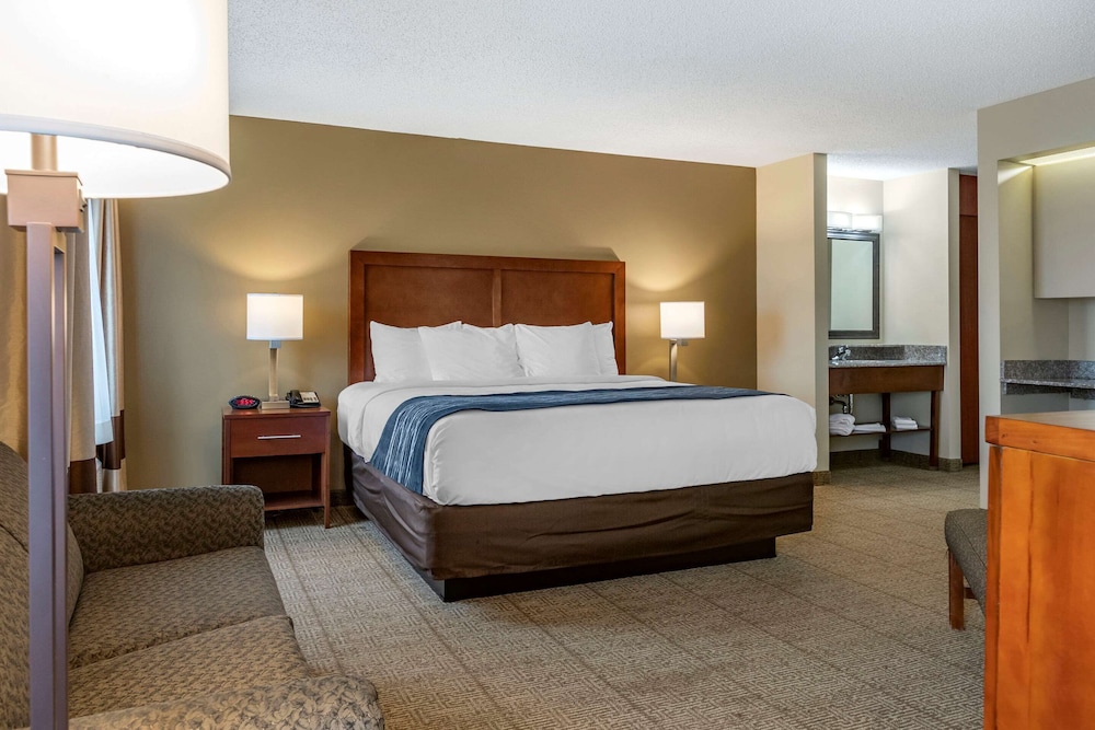Comfort Inn Suites Dimondale Lansing 12/35