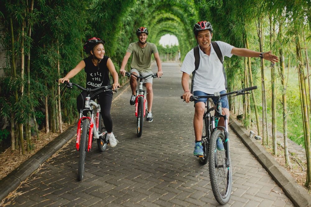 The Royal Purnama Art Suites and Villas - Adults Only 27/50