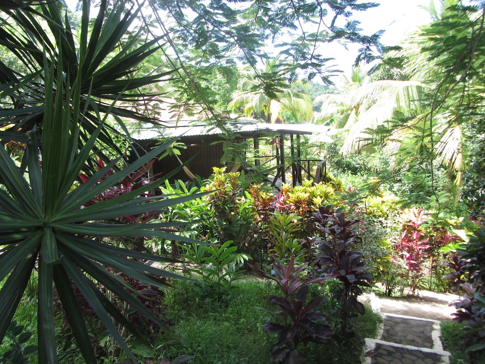 Hibiscus Valley Inn 40/50