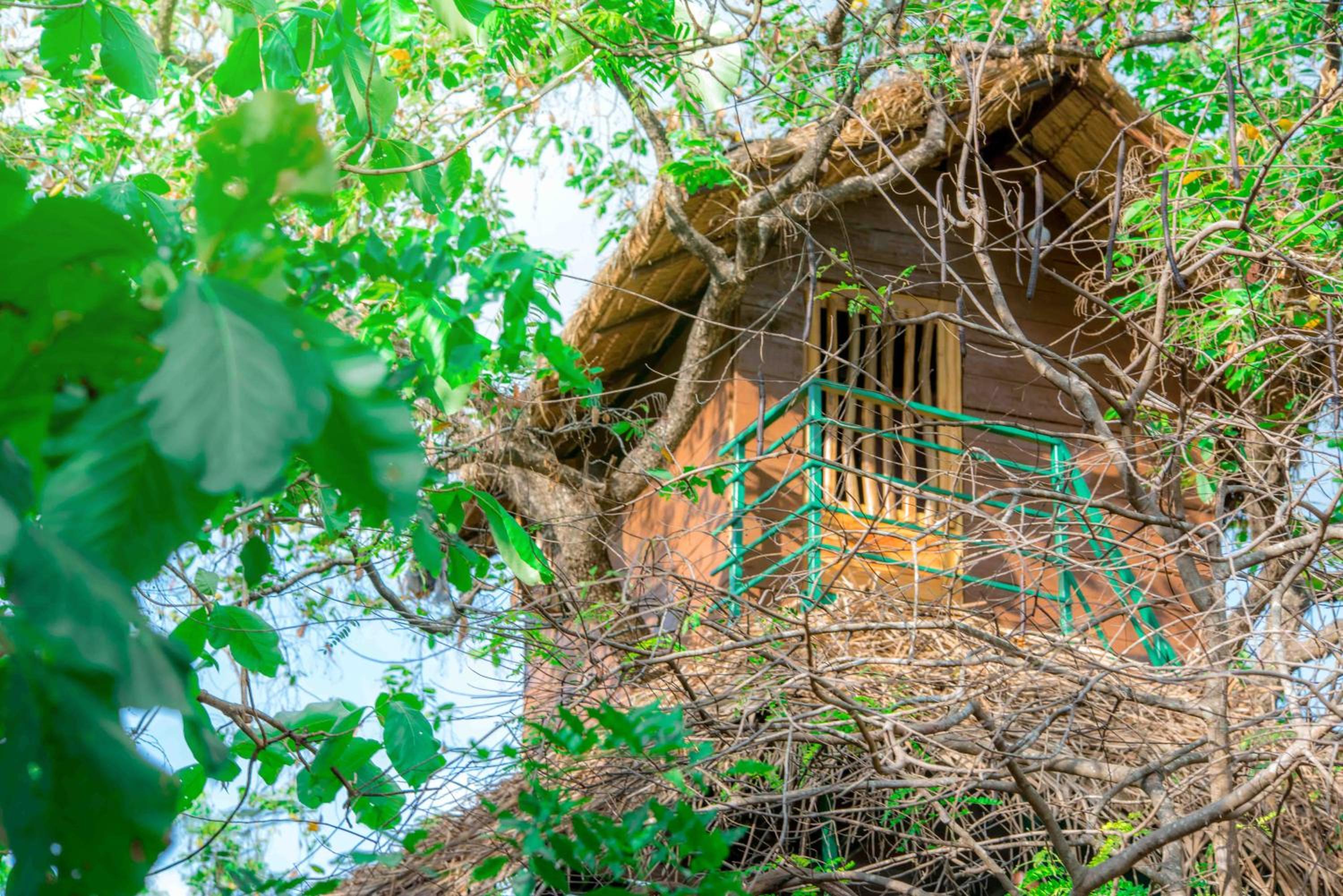 Wildescape Polonnaruwa 18/27