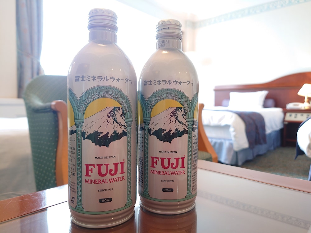 Hotel Mt. Fuji 28/65