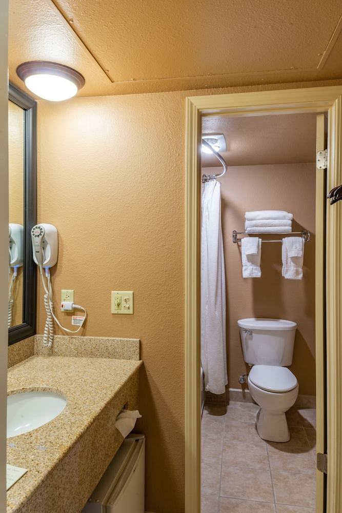 Best Western Vista Inn At The Airport 22/47