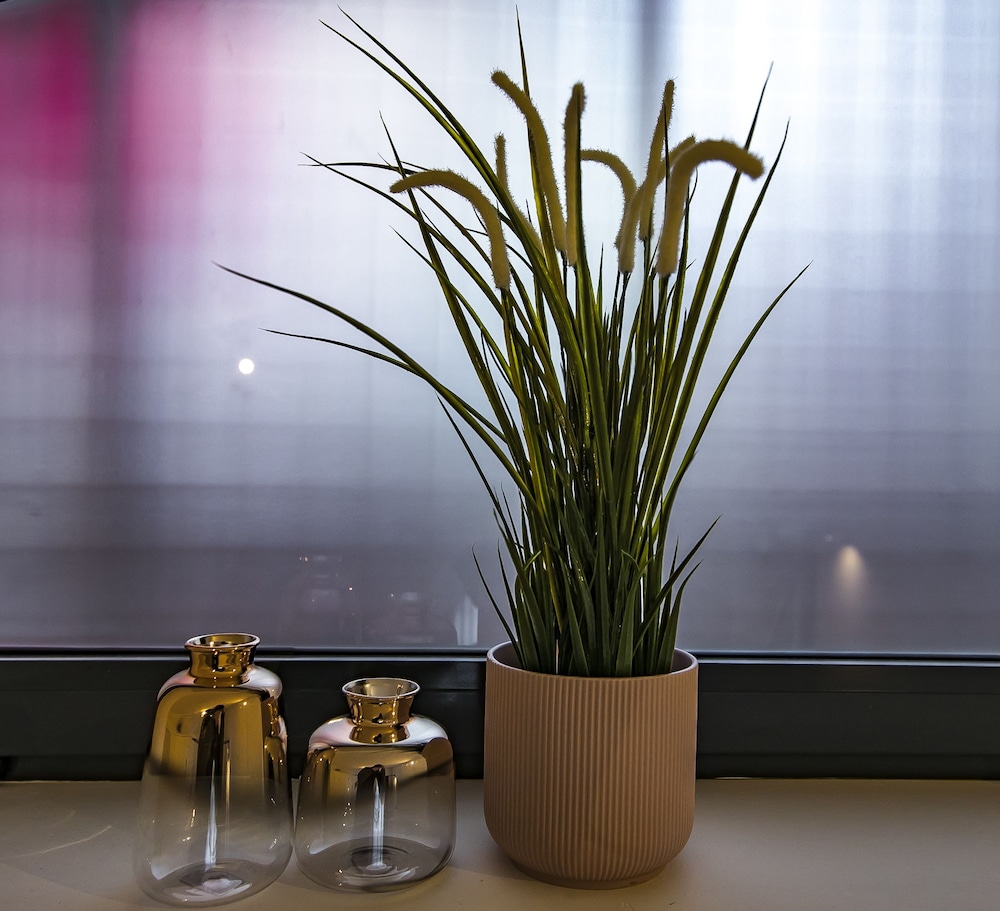 Design Central Apartment 2/24