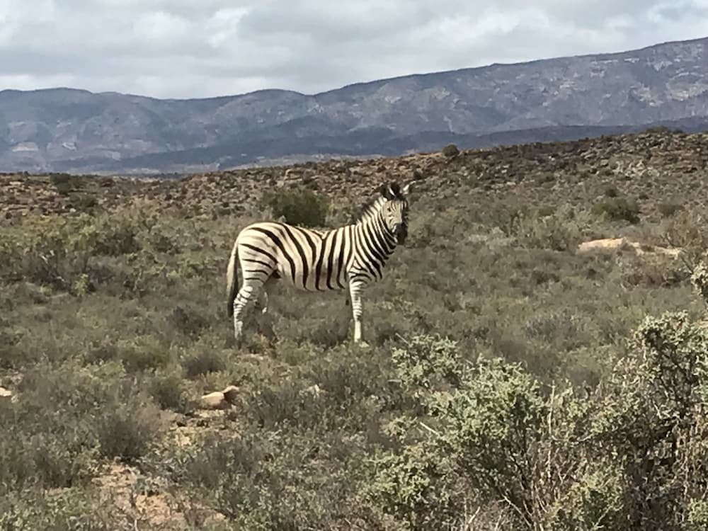Mountain View Lodge Montagu 29/43