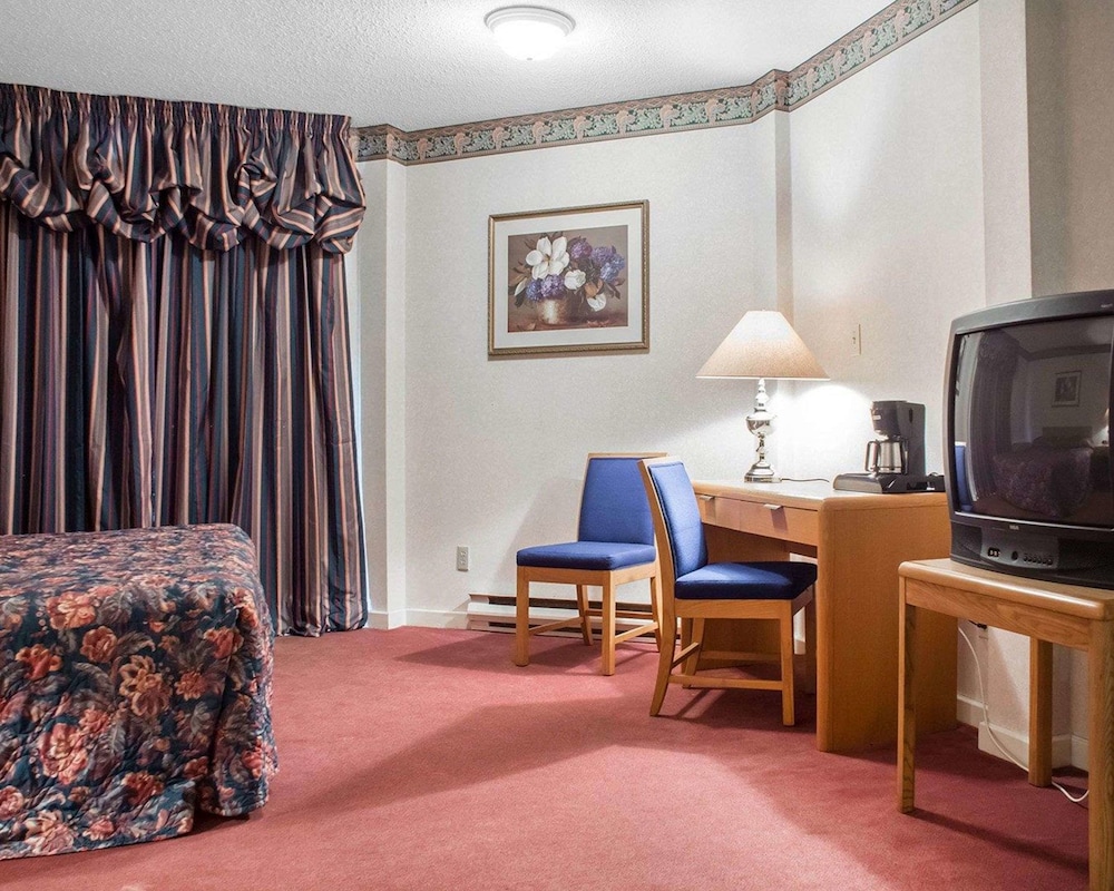 Econo Lodge By The Falls 17/24