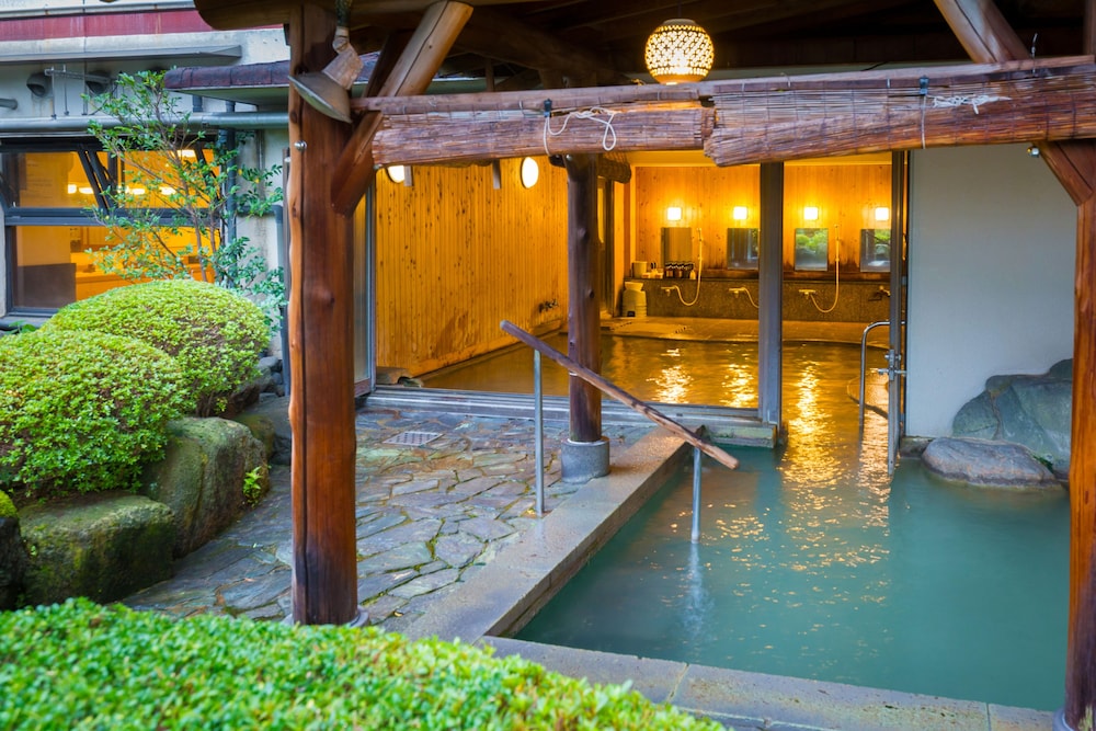 SHINYU HOTEL(RYOKAN) 25/45