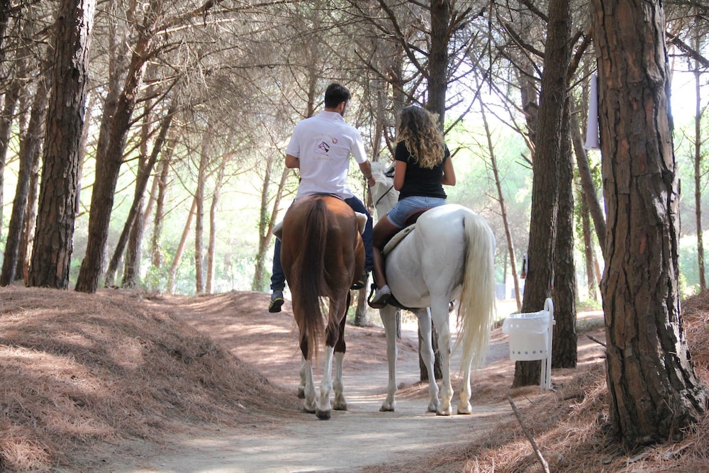 OLEANDRI RESORT 41/81
