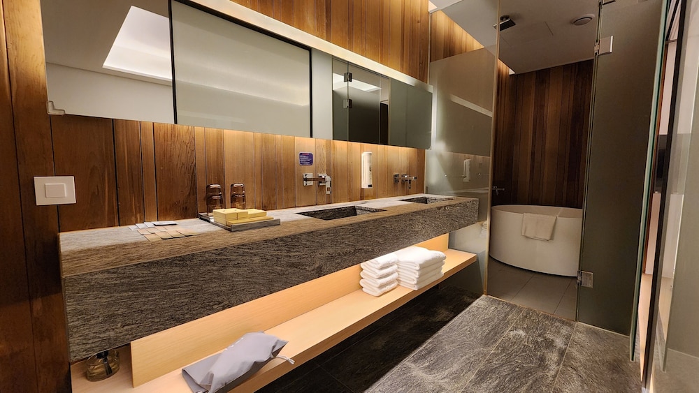 Sotetsu Hotels The Splaisir Seoul Myeongdong 55/81
