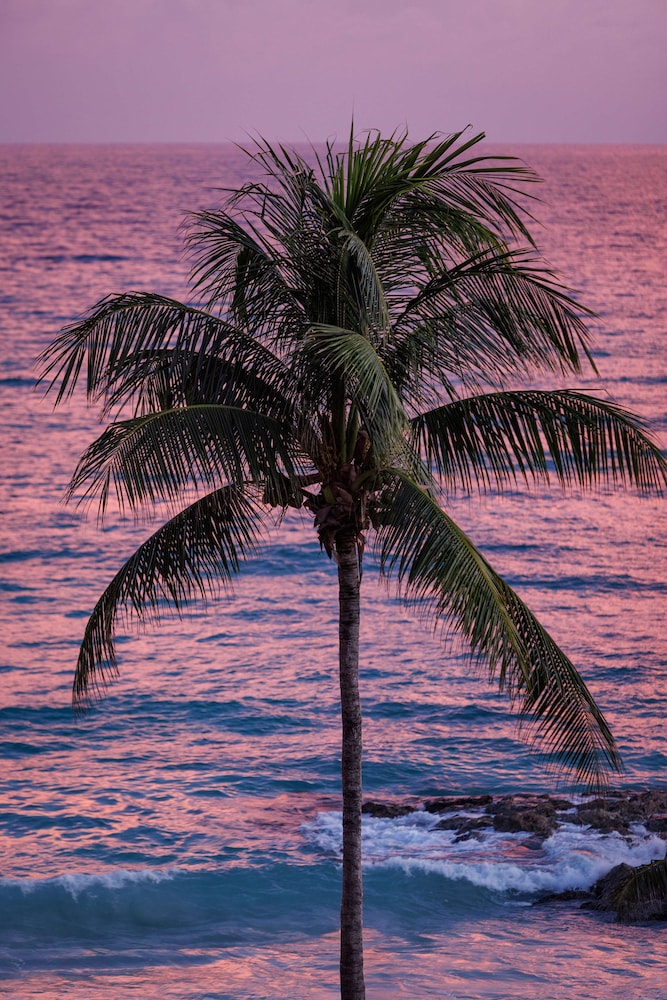 Sandals Barbados - Adults Only 58/65