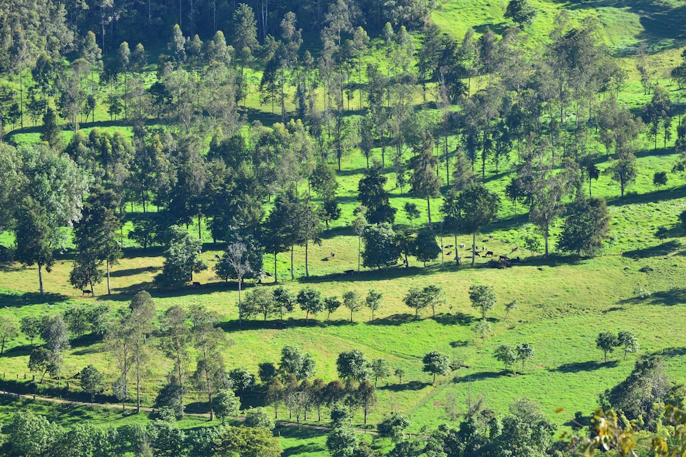 Hotel Mirador del Cocora 74/77