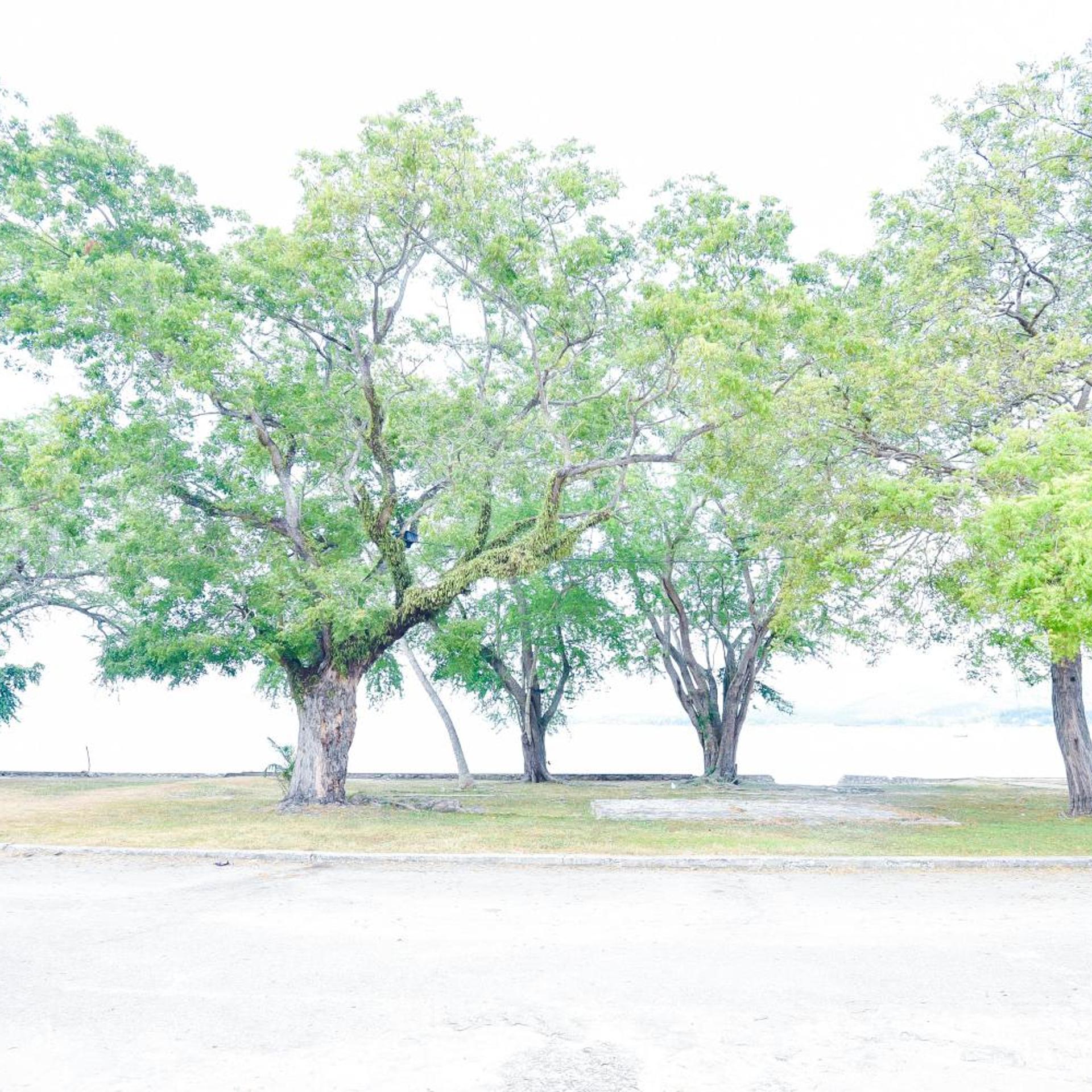 Lumut Suites 48/50
