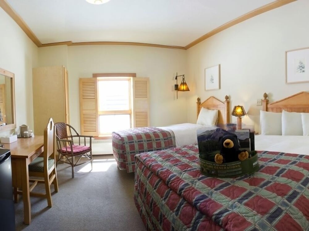 Old Faithful Snow Lodge & Cabins 16/37