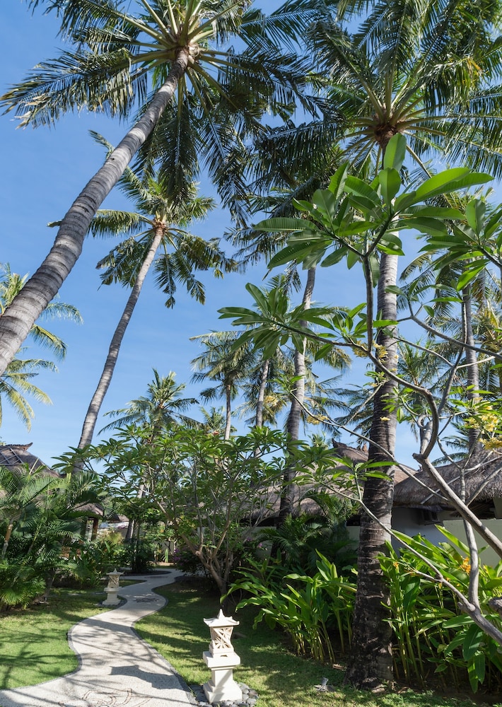 Palm Garden Amed Beach Spa Resort Bali 50/60