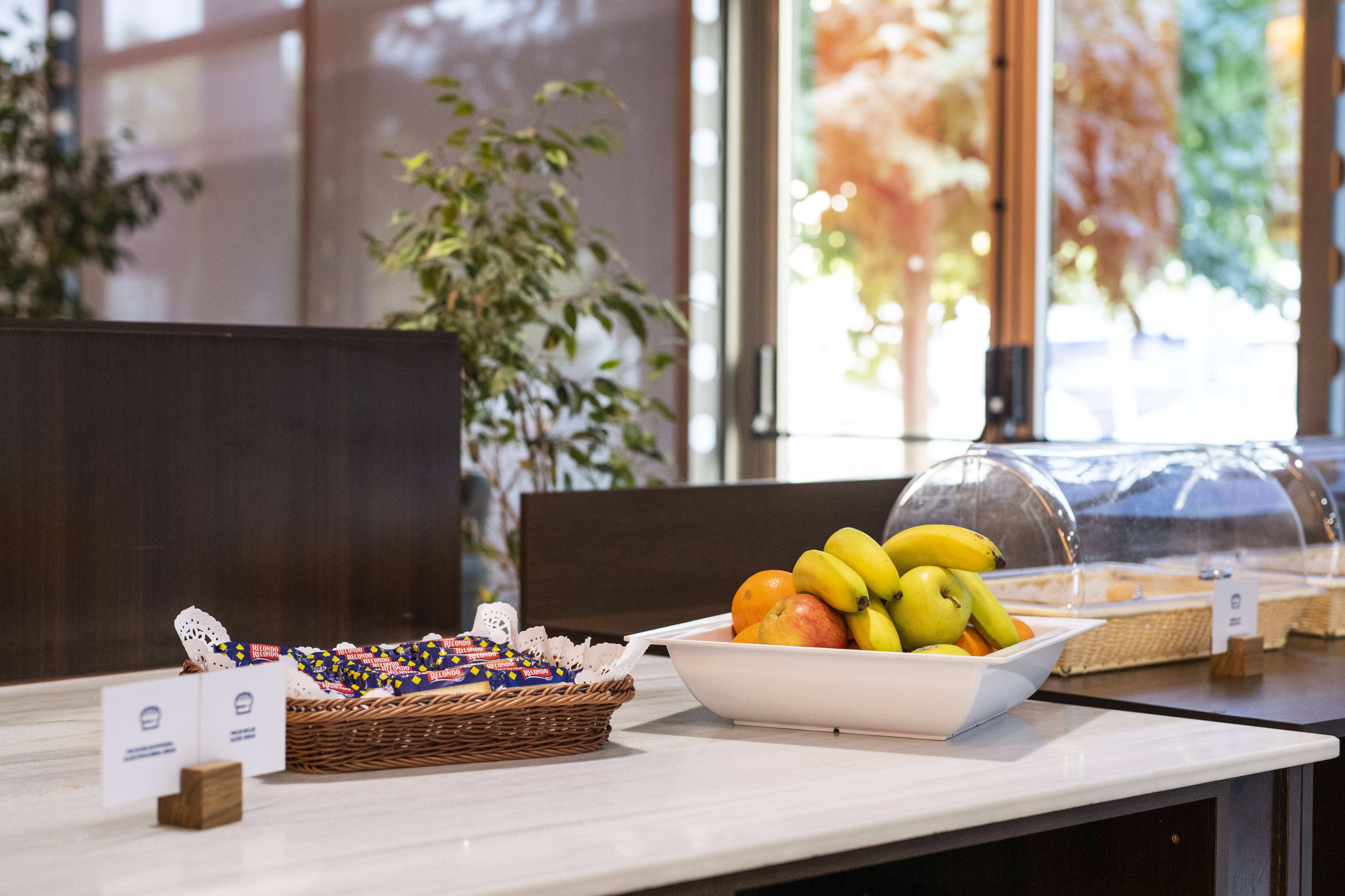 Holiday Inn Express Molins de Rei 43/62