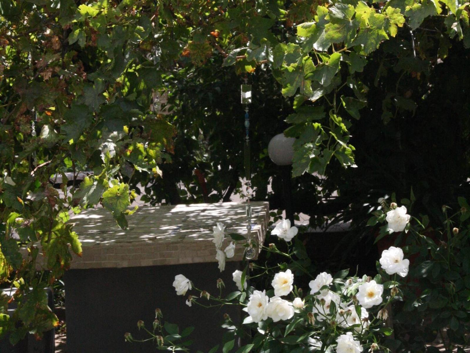 Anker Guesthouse 8/18