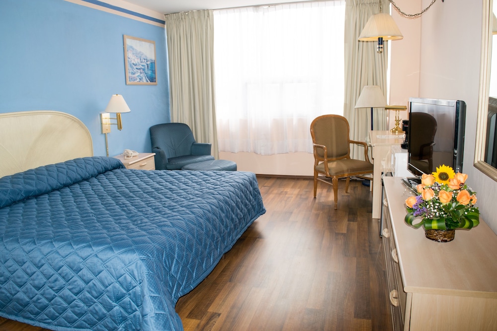 Hotel San Francisco Toluca 16/42